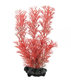 Tetra DecoArt Plant M Red Foxtail - 23 cm