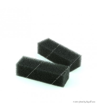 AquaEl MediaSet Standard szűrőszivacs (2 db) ASAP Filter 500 belső szűrőhöz