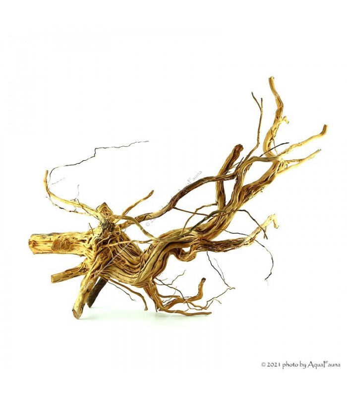 Azalea wood dekorfa (50-60 cm) / kg