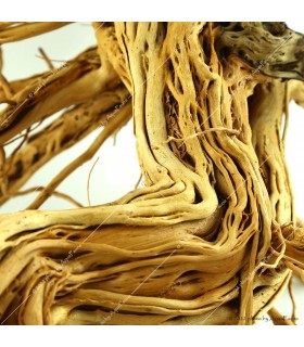 Azalea wood dekorfa (50-60 cm) / kg