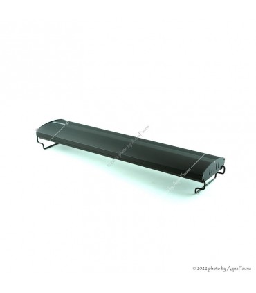 Odyssea Compact lámpa 50/65 36W