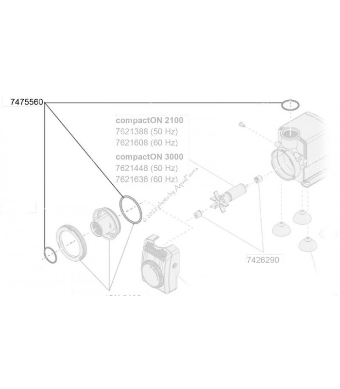 Eheim tömítőgyűrű szett compactON 2100/3000 vízpumpához (7475560)