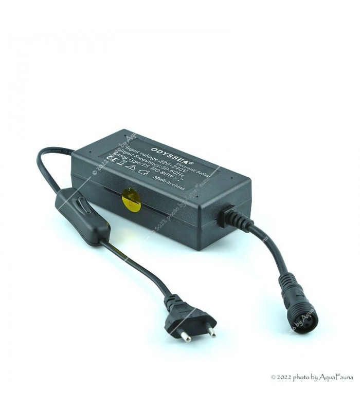 Odyssea T5 elektronikus előtét 2x80W