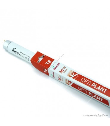 Opti Plant T8 fénycső - 36W (120 cm)