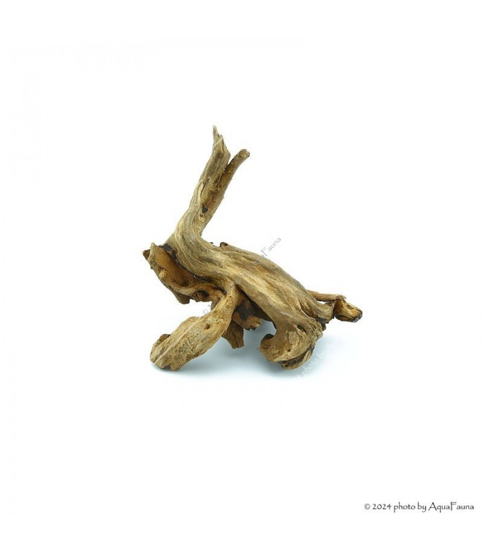 Driftwood dekorfa - small / db (10-15 cm)