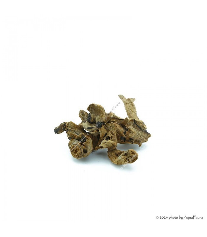 Driftwood dekorfa - small / db (10-15 cm)