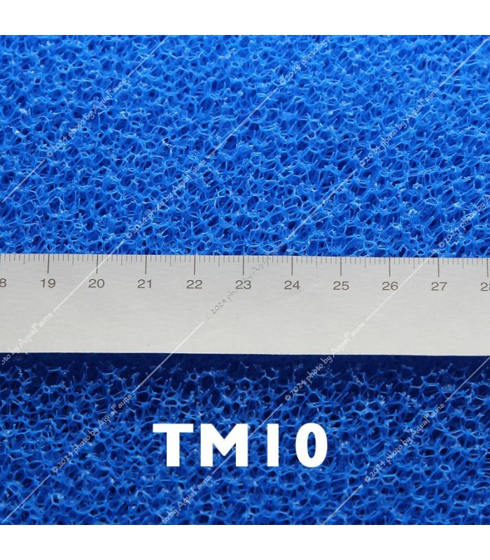 JBL szűrőszivacs, DURVA TM10 - 50 x 50 x 2,5 cm