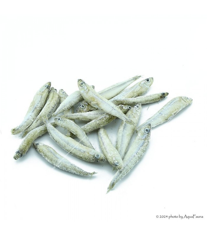 TropiCarry Fagyasztott hal (Viaszlazac, Stint) - 100 g