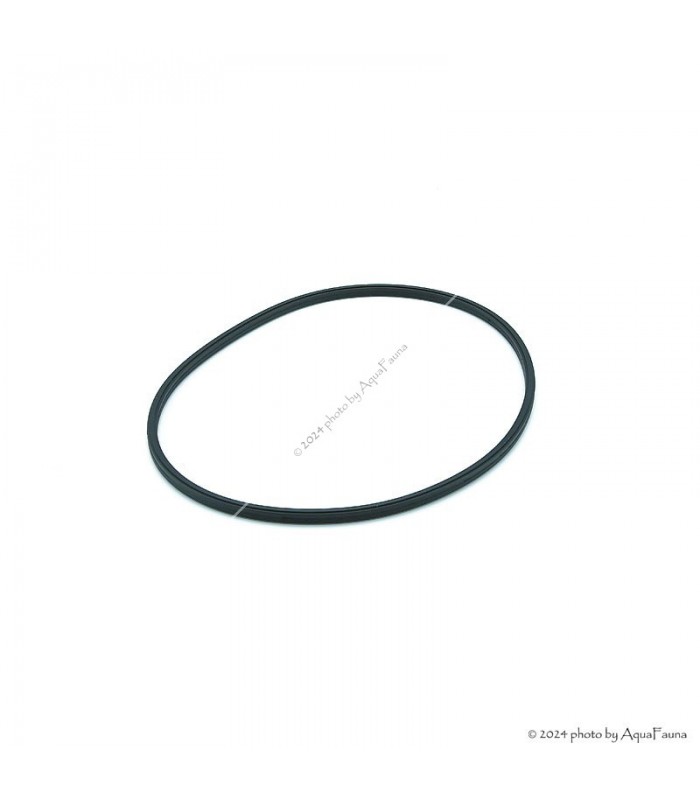 Tetra EX-400/600/800 Plus külső szűrő szűrőfej tömítés