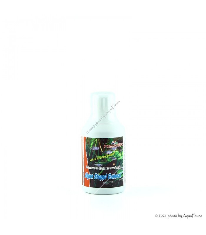 Femanga Algen Stopp! General 250 ml - fonalas- és ecsetalga ellen