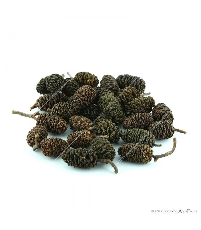 Égertoboz 50g - kb. 120 db