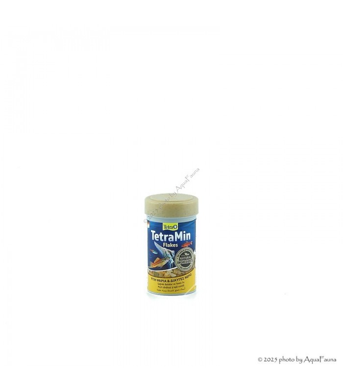 TetraMin Flakes 100 ml - lemezes főeleség