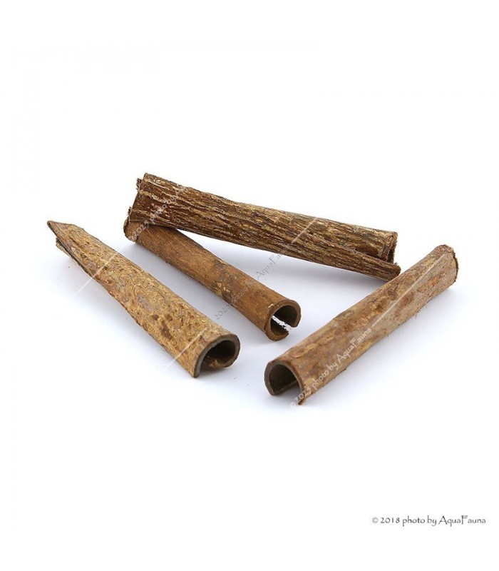 Naturdekor - Terminalia catappa bark - Indiai mandulafa kéreg (tebangkéreg) 10-15 cm, Ø1-2 cm / db