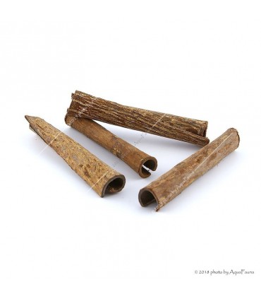 Naturdekor - Terminalia catappa bark - Indiai mandulafa kéreg (tebangkéreg) 10-15 cm, Ø1-2 cm / db