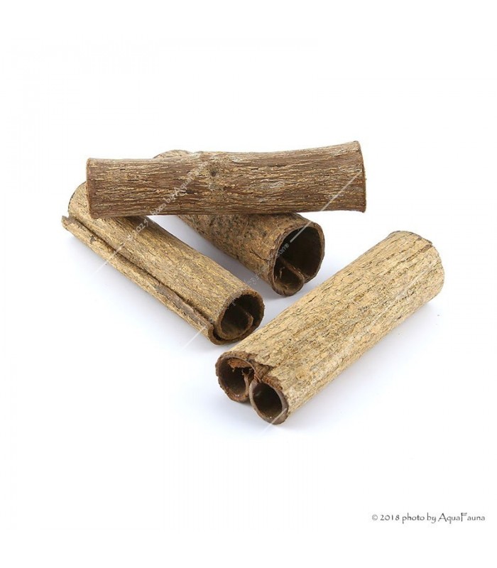 Naturdekor - Terminalia catappa bark - Indiai mandulafa kéreg (tebangkéreg) 11-15 cm, Ø3-4 cm / db