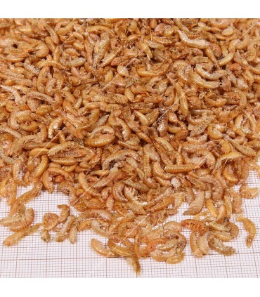 JBL Proterra Gammarus 250 ml - Egész szárított gammarus vízi teknősöknek