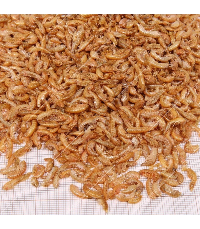 JBL Proterra Gammarus 1000 ml - Egész szárított gammarus vízi teknősöknek