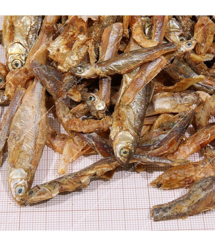 JBL Proterra Pescarus 2,5 liter - Egész szárított hal és garnéla vízi teknősnek