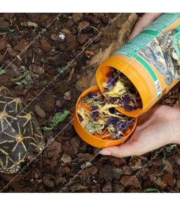 JBL Proterra Florsil 1000 ml - Virágos alapeledel minden teknősnek