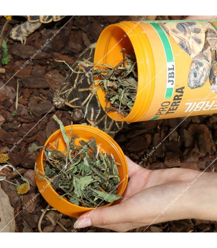 JBL Proterra Herbil 250 ml - Gyógynövényes alaptáp minden teknősnek