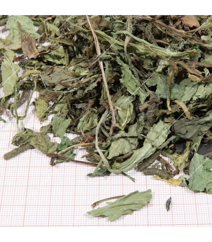 JBL Proterra Herbil 250 ml - Gyógynövényes alaptáp minden teknősnek