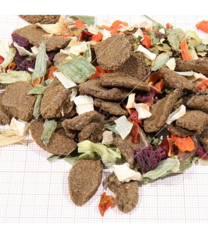 JBL Proterra Vegabil 250 ml - Zöldséges alaptáplálék chips minden teknősnek