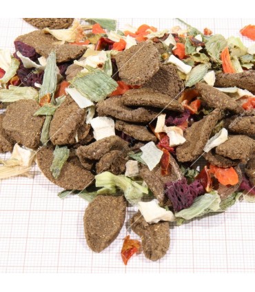 JBL Proterra Vegabil 250 ml - Zöldséges alaptáplálék chips minden teknősnek