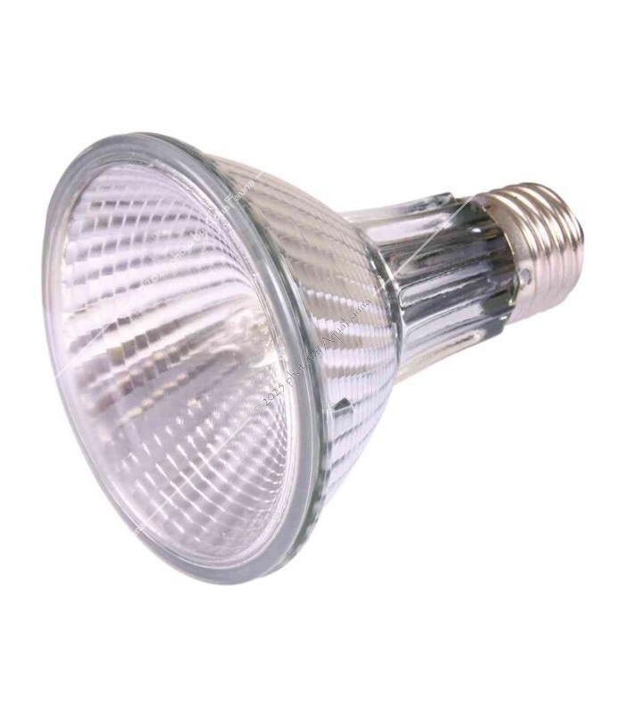 Trixie Heat Spot Pro 75W - terráriumi sütkérező halogén izzó