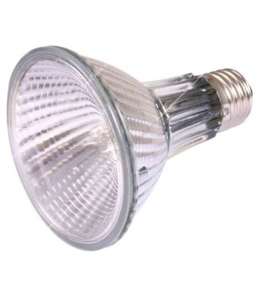 Trixie Heat Spot Pro 75W - terráriumi sütkérező halogén izzó