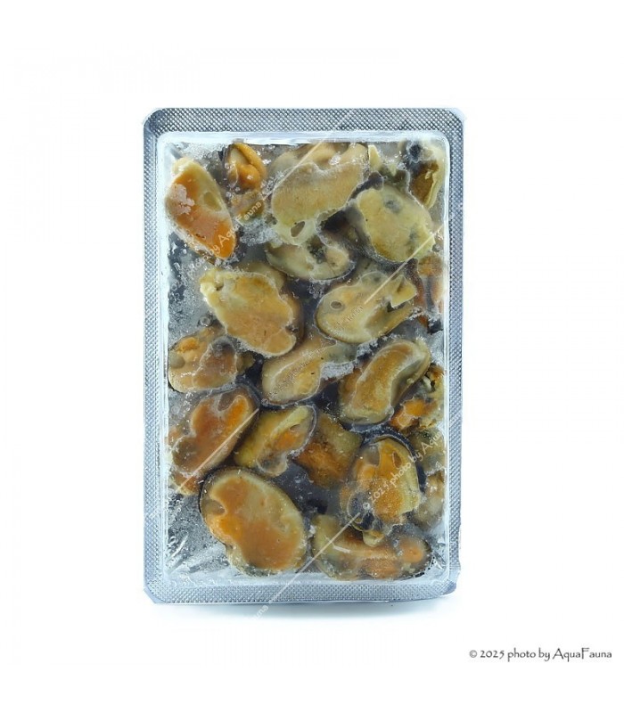 Fagyasztott Kagyló (egész) - 100 g