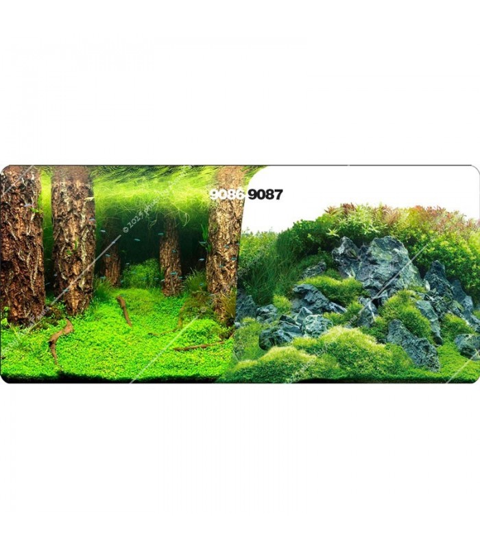 Háttérposzter, növényes/sziklás - 50 cm magas / 1 méter