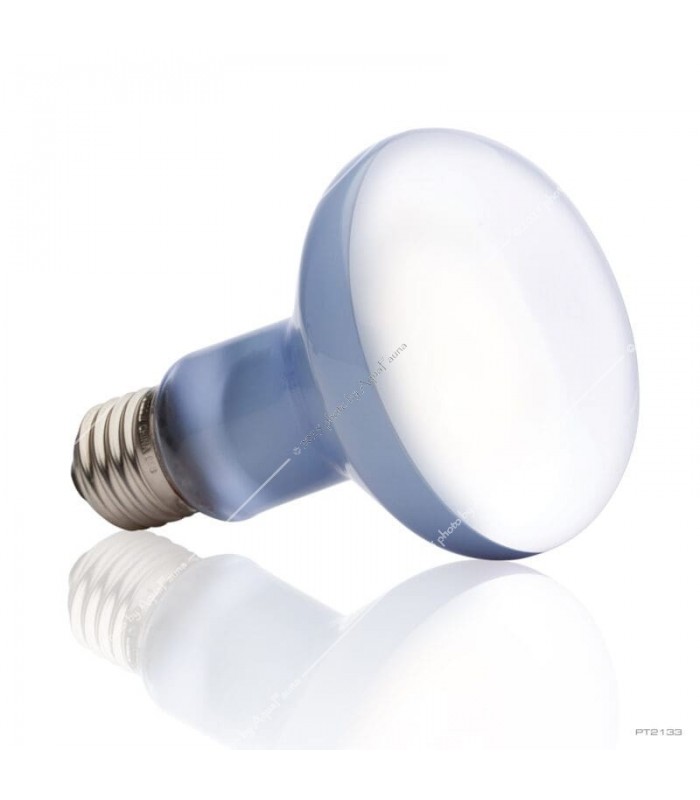 Hagen Exo Terra Daylight Basking Spot 100W (2133)