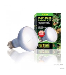 Hagen Exo Terra Daylight Basking Spot 75W (2132)