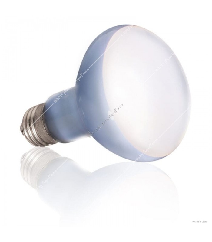 Hagen Exo Terra Daylight Basking Spot 75W (2132)