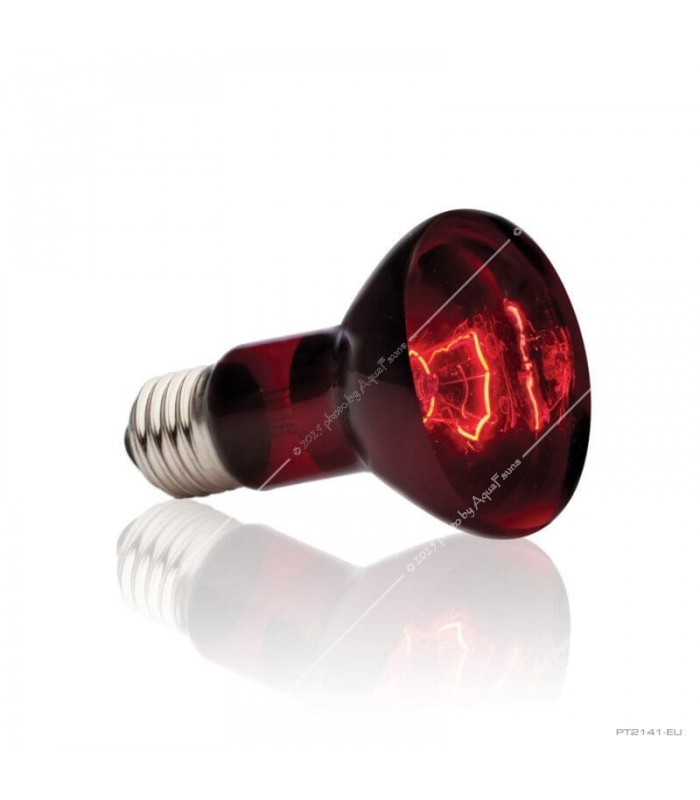 Hagen Exo Terra Infrared Basking Spot 50W (2141)