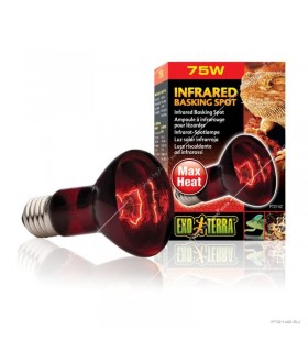 Hagen Exo Terra Infrared Basking Spot 75W (2142)