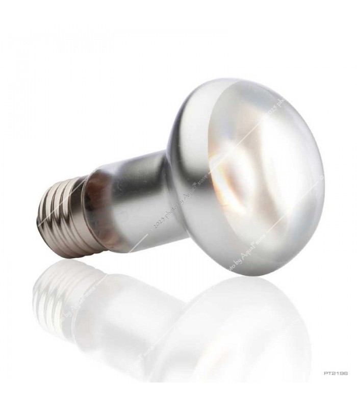 Hagen Exo Terra Intense Basking Spot - izzó sütkérező területekhez - 25 W (2196)