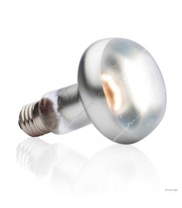 Hagen Exo Terra Intense Basking Spot - izzó sütkérező területekhez - 100W (2138)