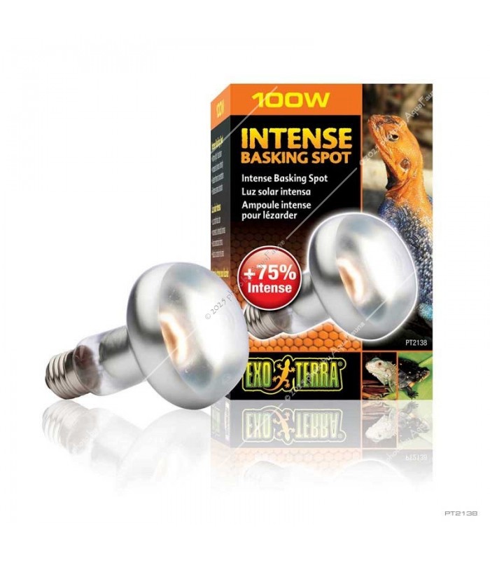 Hagen Exo Terra Intense Basking Spot - izzó sütkérező területekhez - 100W (2138)