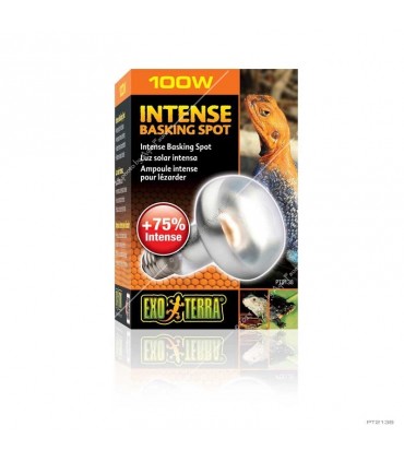 Hagen Exo Terra Intense Basking Spot - izzó sütkérező területekhez - 100W (2138)