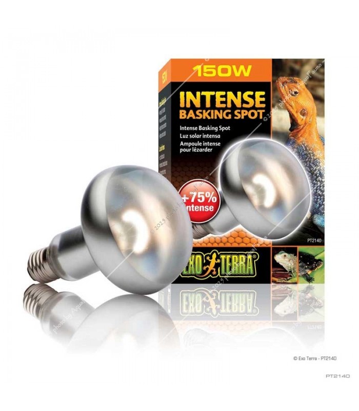 Hagen Exo Terra Intense Basking Spot - izzó sütkérező területekhez - 150W (2140)