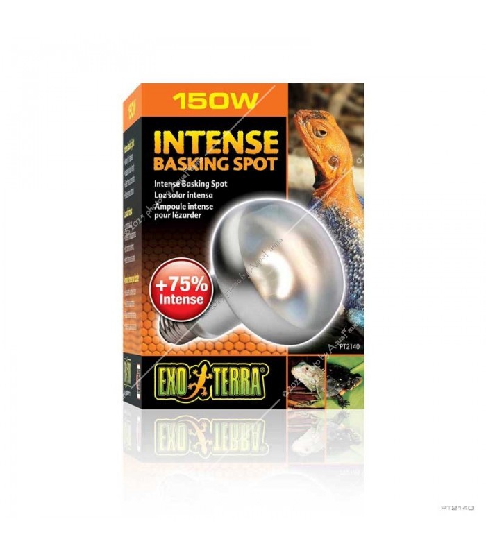 Hagen Exo Terra Intense Basking Spot - izzó sütkérező területekhez - 150W (2140)