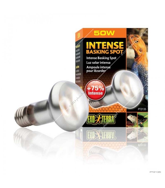 Hagen Exo Terra Intense Basking Spot - izzó sütkérező területekhez - 50W (2135)