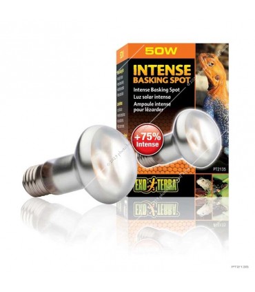 Hagen Exo Terra Intense Basking Spot - izzó sütkérező területekhez - 50W (2135)