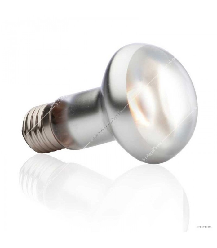 Hagen Exo Terra Intense Basking Spot - izzó sütkérező területekhez - 50W (2135)