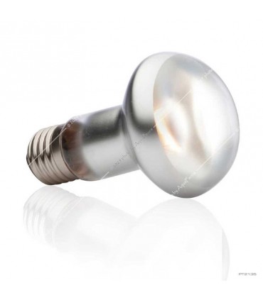 Hagen Exo Terra Intense Basking Spot - izzó sütkérező területekhez - 50W (2135)