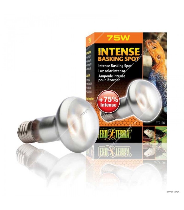 Hagen Exo Terra Intense Basking Spot - izzó sütkérező területekhez - 75W (2136)