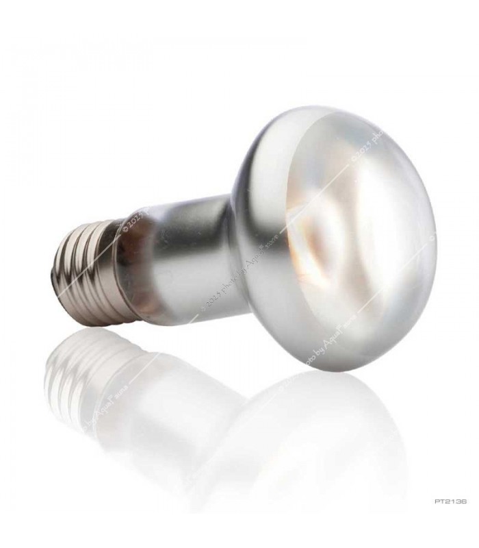 Hagen Exo Terra Intense Basking Spot - izzó sütkérező területekhez - 75W (2136)