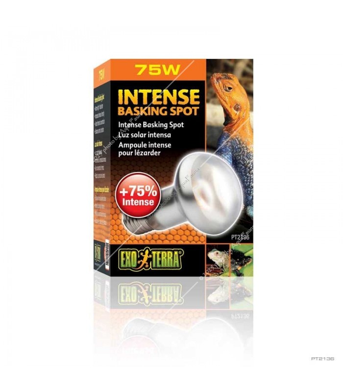 Hagen Exo Terra Intense Basking Spot - izzó sütkérező területekhez - 75W (2136)