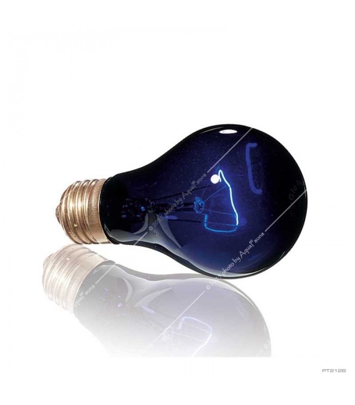 Hagen Exo Terra Night Heat Lamp (kerek változat) 50W (2126)